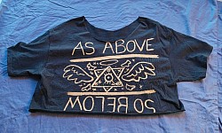 'believe me' crop top