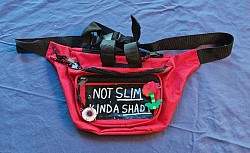 'Eminem' fanny pack